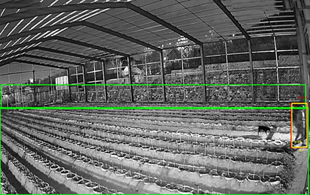 農村養殖大棚AI視頻監(jiān)控安裝項目